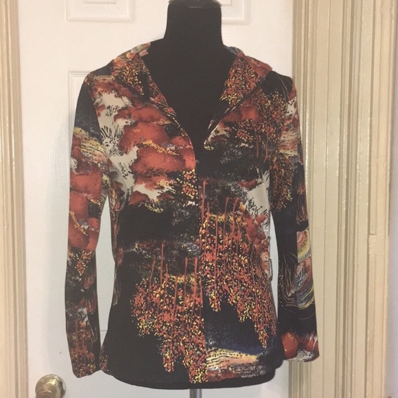 🍂🍁 Fall Free People Inspired Vintage Autumn Intarsia Shirt Sz S - Picture 2 of 8